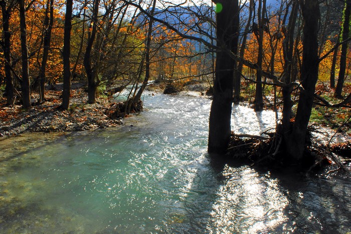 A river flows through a forest in autumn