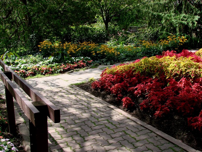 Garden path with colorful flowers and wooden railing