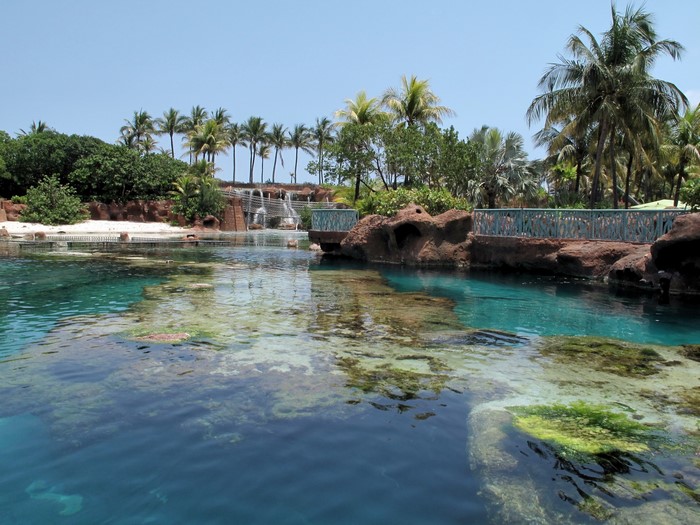 Tropical resort pool with waterfalls and palm trees