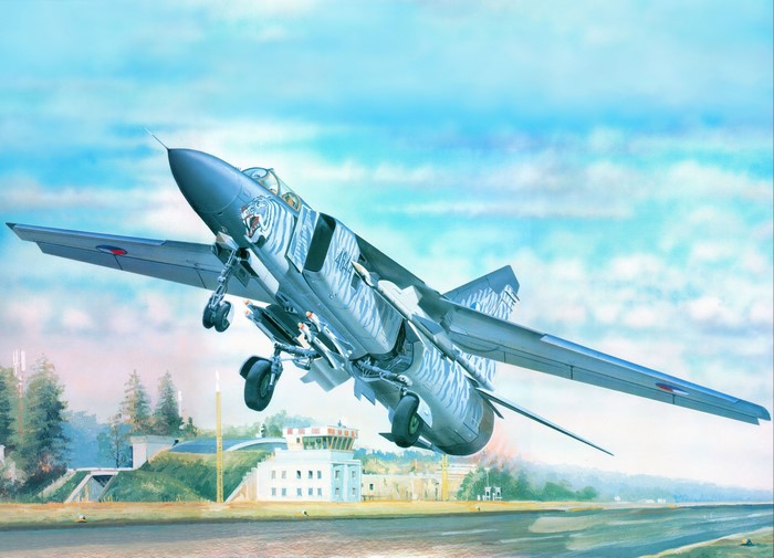 Airplane with Tiger Stripes Taking Off