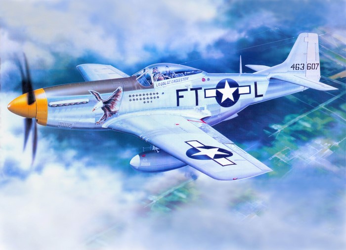 P-51D Mustang airplane painting