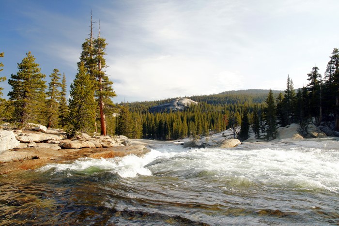 River flowing through Yosemite National Park, California