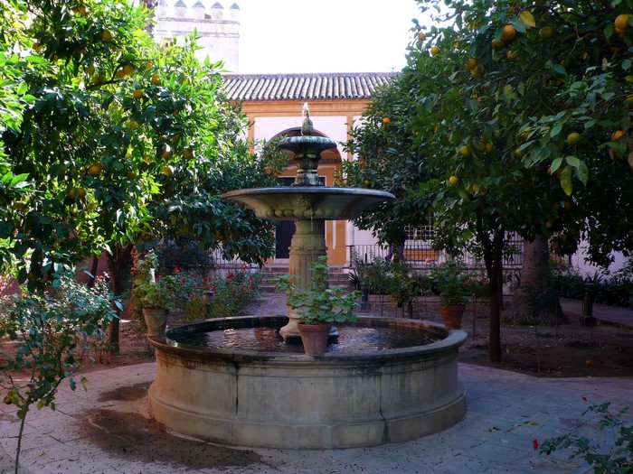 Courtyard with fountain and orange trees