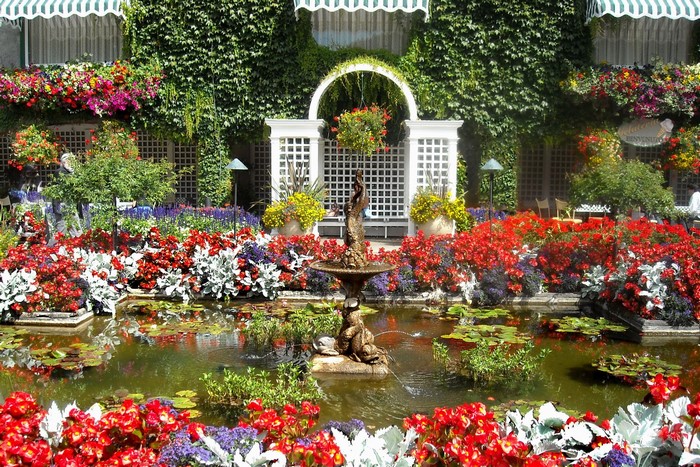 Beautiful garden with a pond and fountain