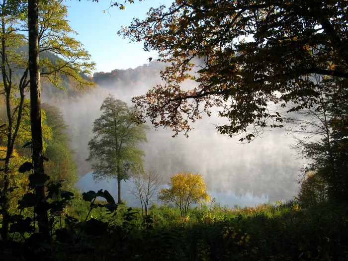Misty lake surrounded by autumn forest