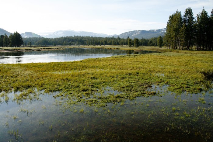 Tuolumne Meadows in Yosemite National Park, California