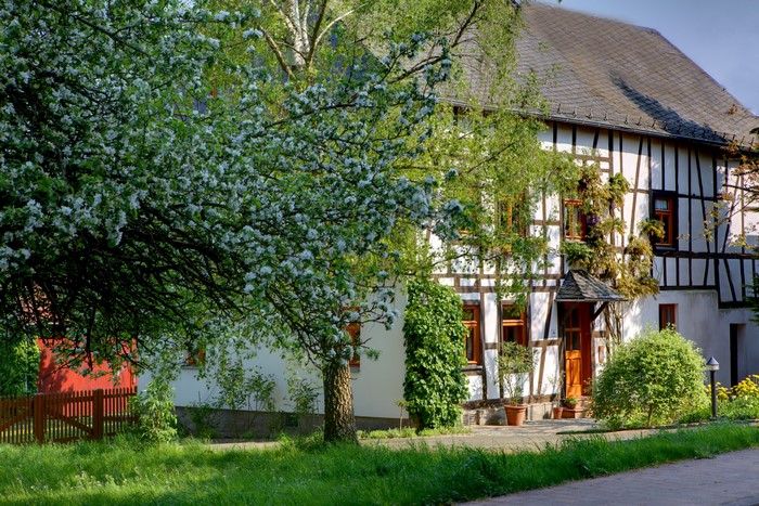 Half-timbered house with blooming tree in Germany