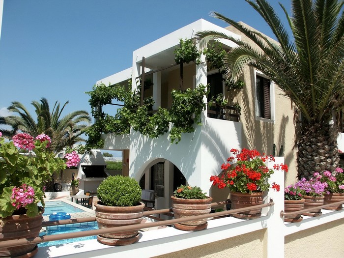 Resort with pool and palm trees