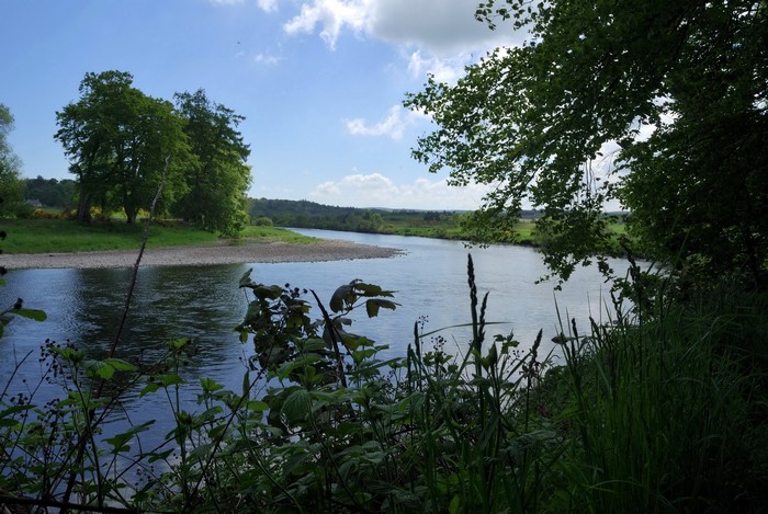 River flowing through a green landscape under a cloudy sky