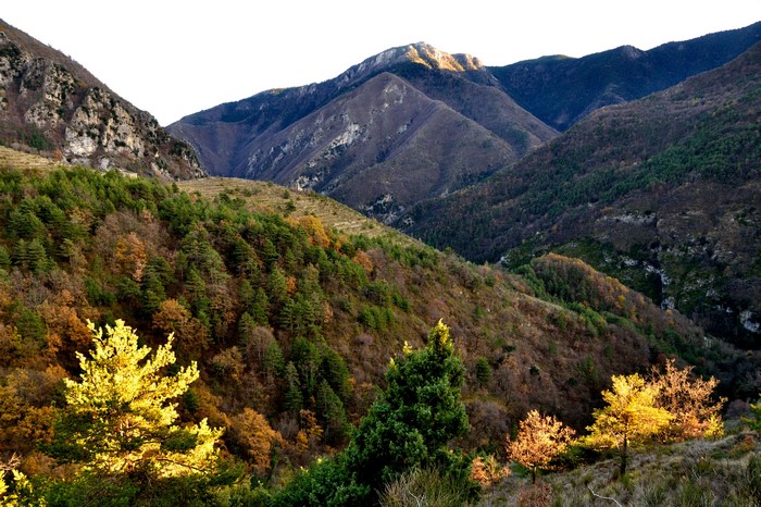 Mountains in Autumn