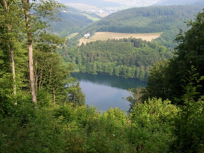 Lake in a forest valley with distant town