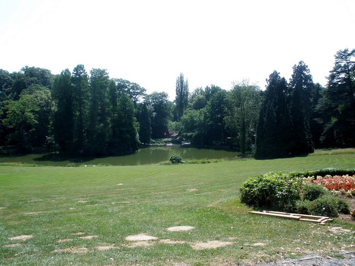 Lake and trees in Zottegem, Belgium