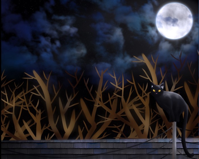 Black cat on a rooftop under the moon