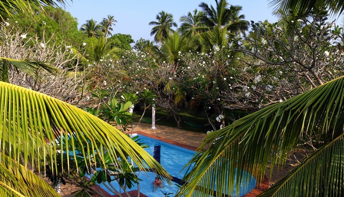 Tropical resort with swimming pool and palm trees