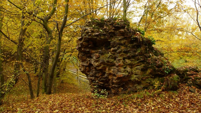 Stone ruins in an autumn forest