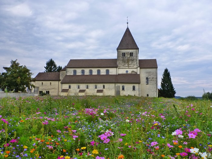 Church with a field of wildflowers