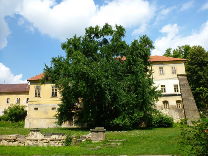 Yellow building with a large tree in the Czech Republic