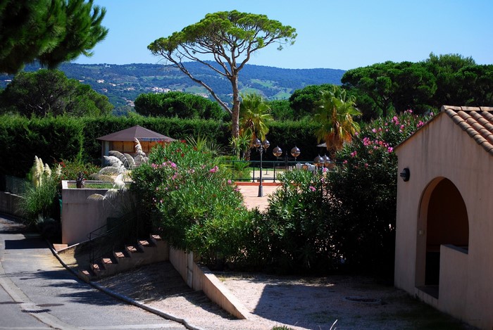 Houses in France with lush greenery and trees