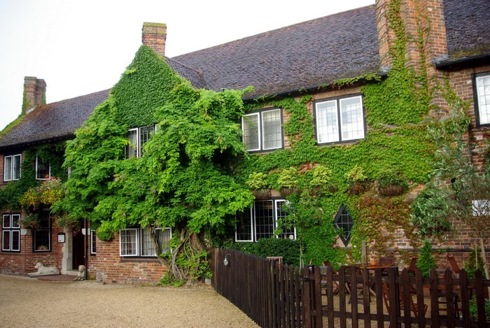 Ivy-covered brick house in the United Kingdom