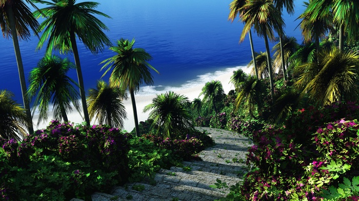 Tropical beach with palm trees and stone stairs