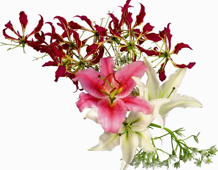 Bouquet of lilies and gloriosa flowers