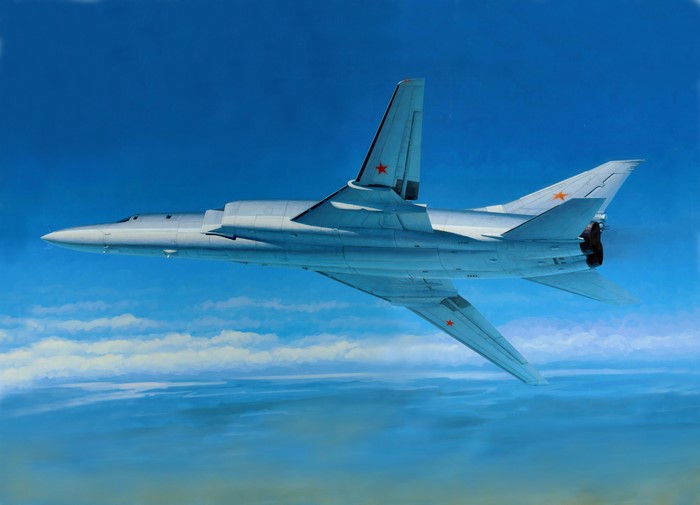 Tu-22M2 Bomber Aircraft Painting