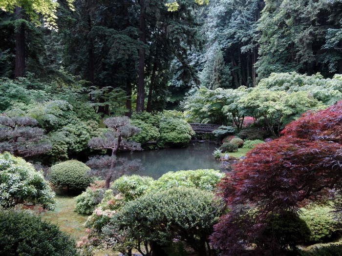 Japanese Garden with Pond and Bridge