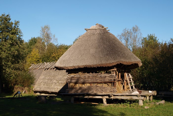 Thatched roof buildings in a forest clearing