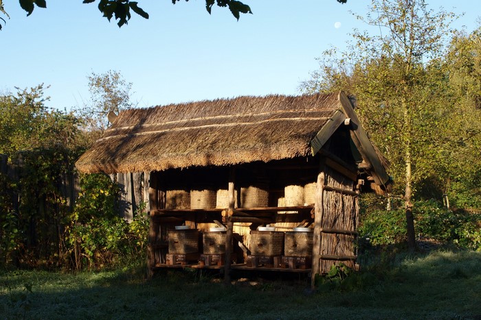 Thatched roof apiary with beehives in Germany