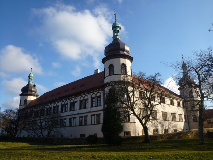 Castle with towers and trees under a blue sky