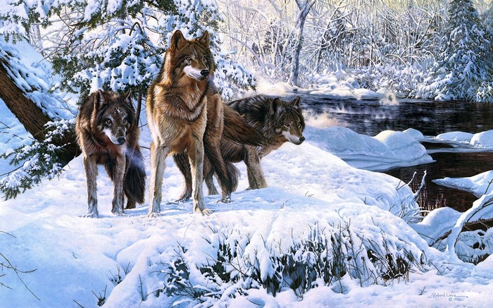 Three wolves in a snowy forest by a river