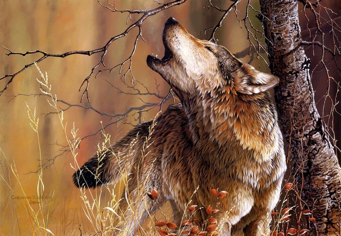 Wolf howling in a forest