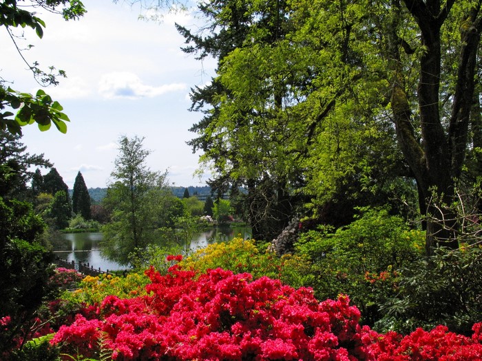 Park with lake and colorful flowers