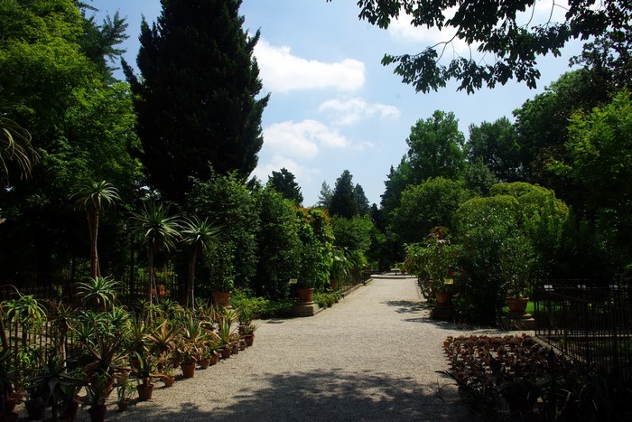 A gravel path winds through a botanical garden with potted plants and trees.