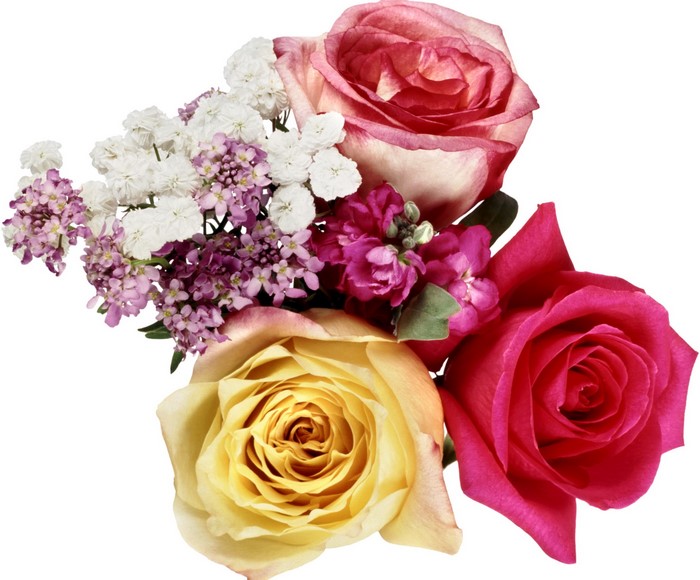 Bouquet of Roses and Filler Flowers