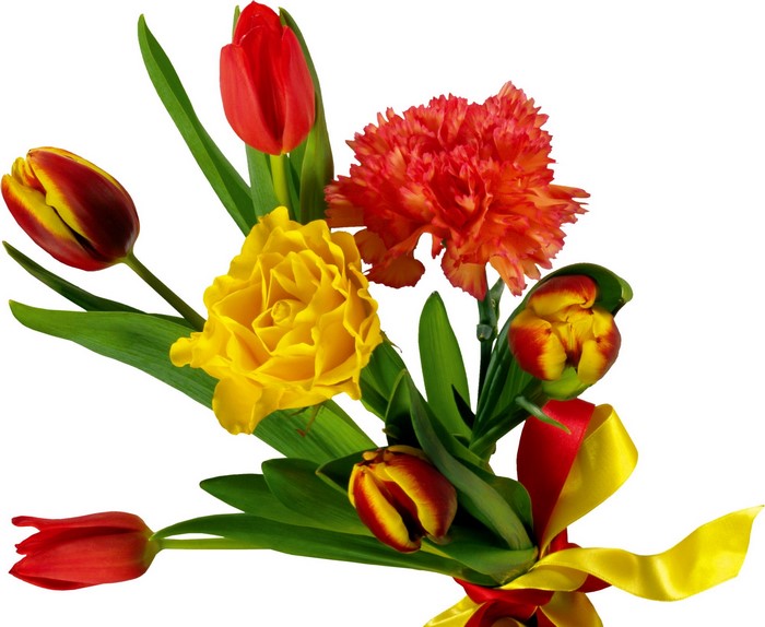 Bouquet of Tulips and Carnation with Ribbon