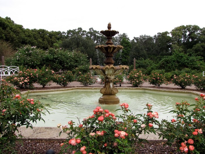 Rose garden with fountain in Orlando, Florida