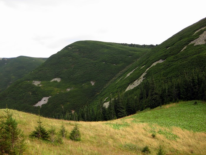Mountains covered in green vegetation and rocks
