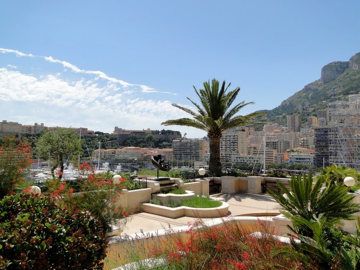 Terrace overlooking Monaco harbor with palm trees and buildings