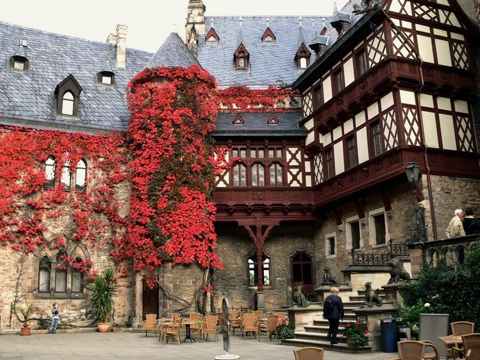 Wernigerode Castle courtyard with red ivy