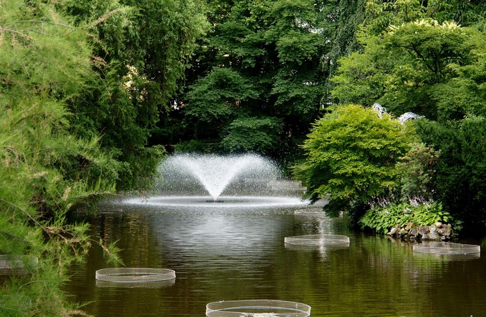 Fountain in a botanical garden in Wroclaw, Poland