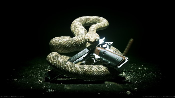 Rattlesnake coiled around a pistol