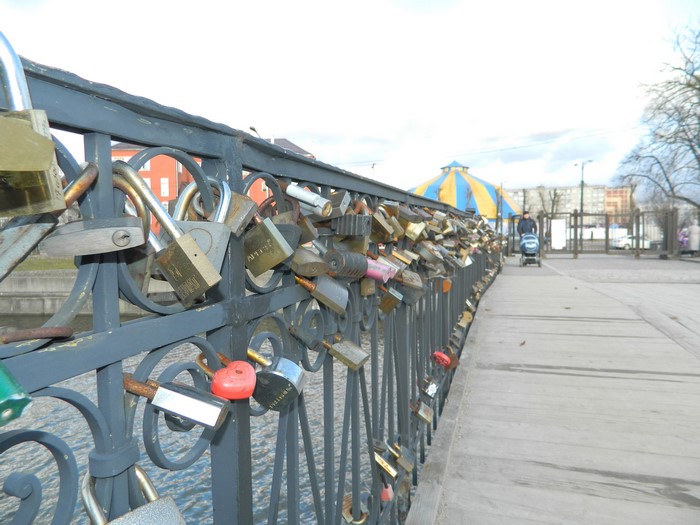 Love locks on a bridge in Kaliningrad