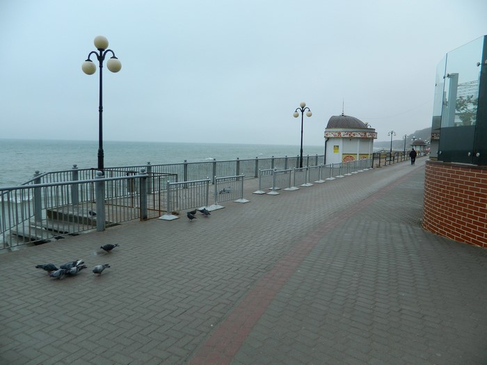 Svetlogorsk promenade with pigeons and the sea