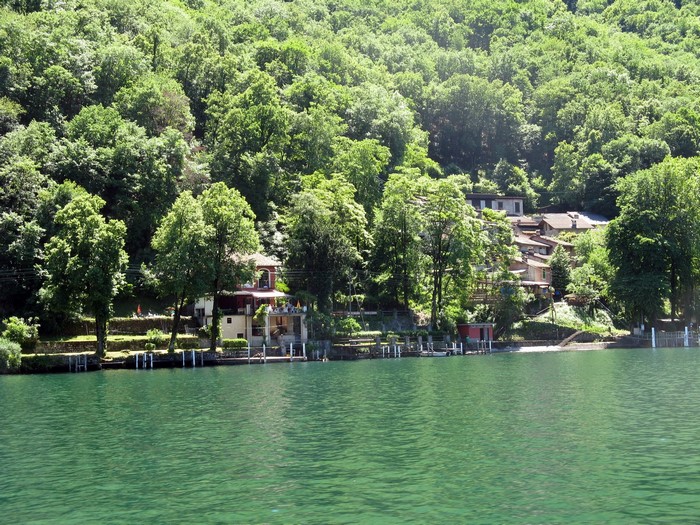 Houses on a forested hillside overlooking a lake