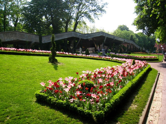 Park with flower beds and modern architecture