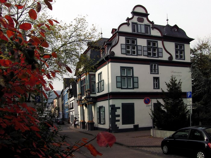 Historic building in Germany with autumn leaves