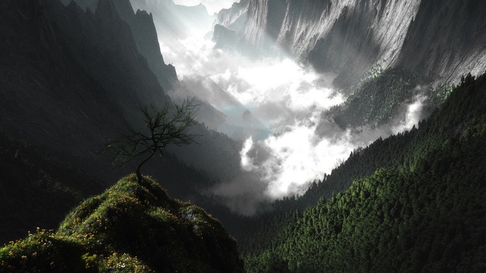 A lone tree on a grassy cliff overlooking a misty mountain valley