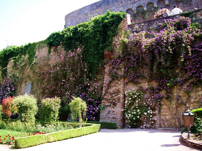 Eltville Castle Gardens in Germany