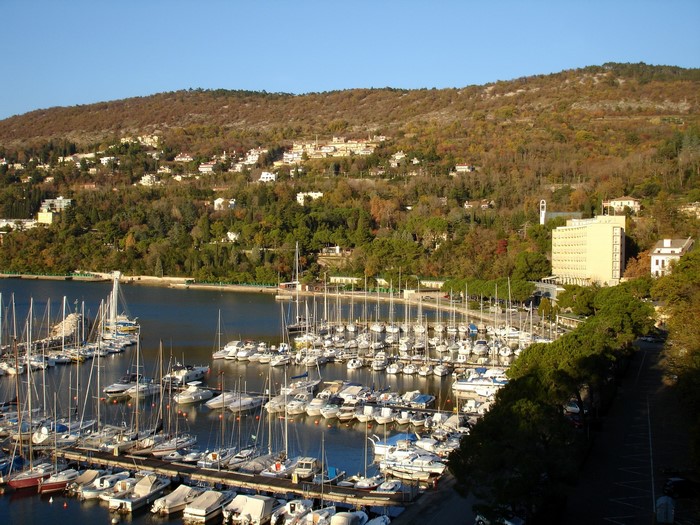 Boats docked in a bay with a town on a hill in the background